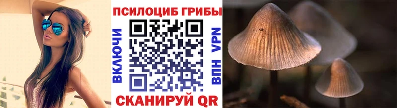 Псилоцибиновые грибы Psilocybe  Биробиджан 