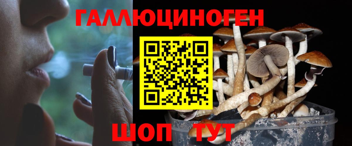 Псилоцибиновые грибы MAGIC MUSHROOMS  Вход с VPN  Биробиджан 